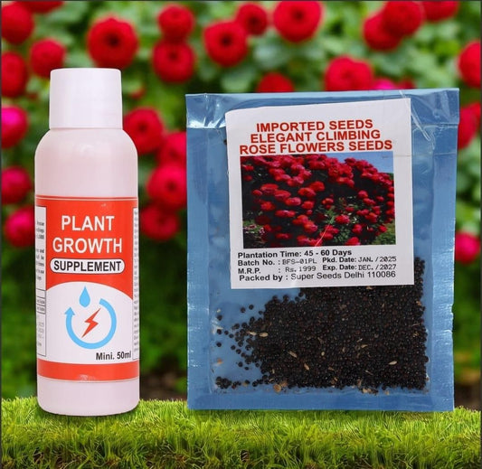 Elegant Climbing Rose Flower Seeds Combo